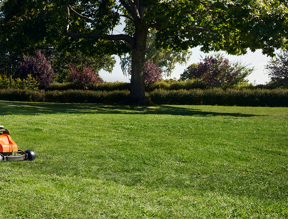 background left